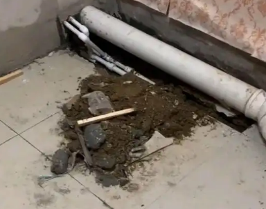 满城县卫生间漏水检测哪家好